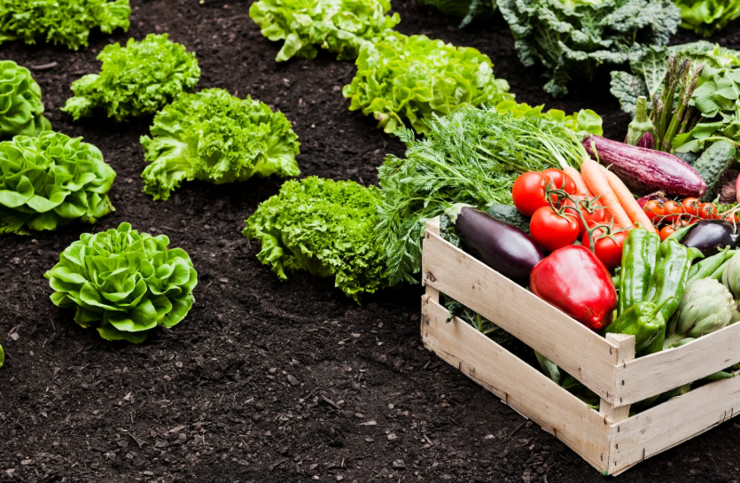 L’agricoltura tradizionale come custode del patrimonio alimentare